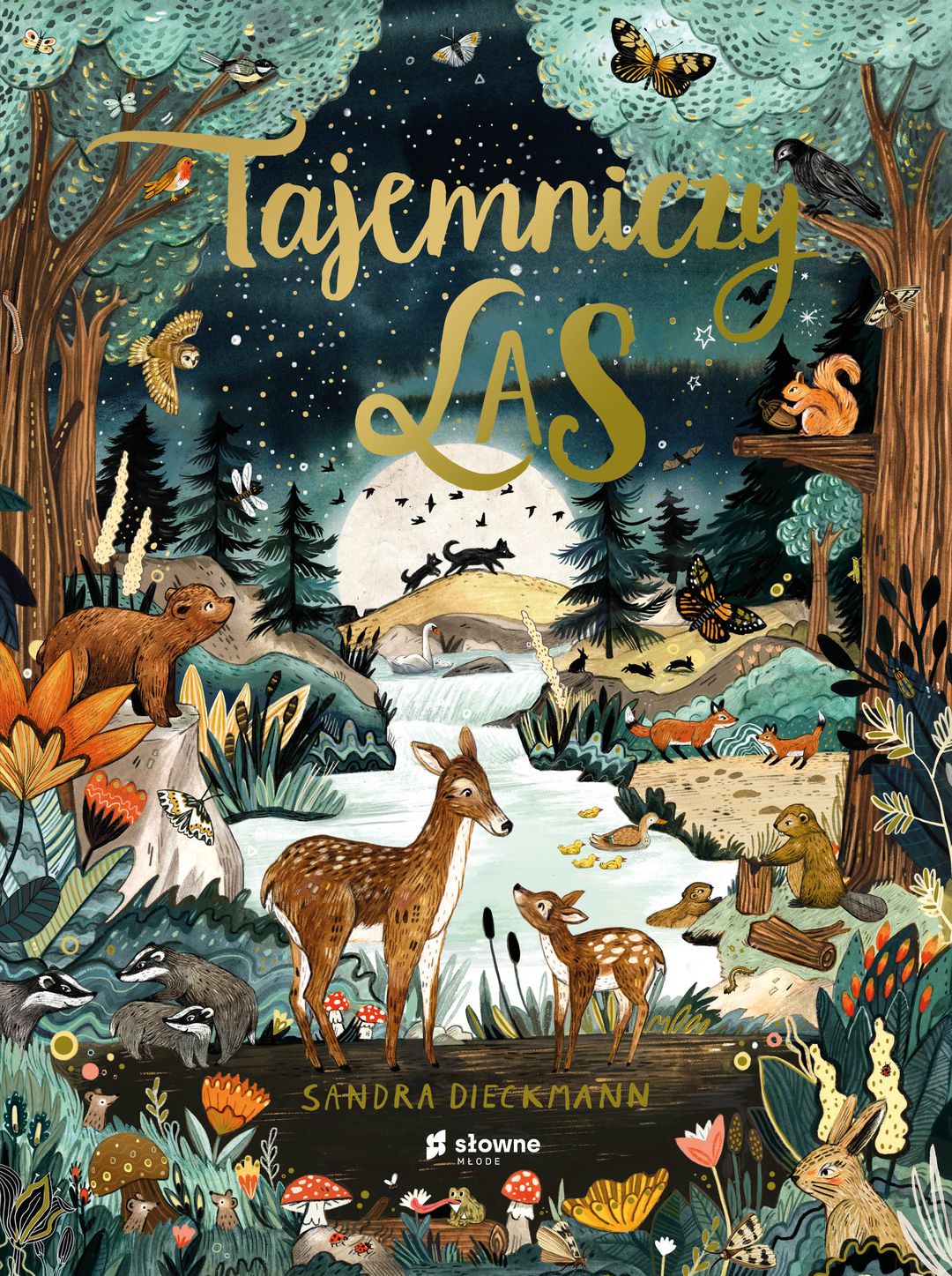Tajemniczy las / Sandra Dieckmann - okładka